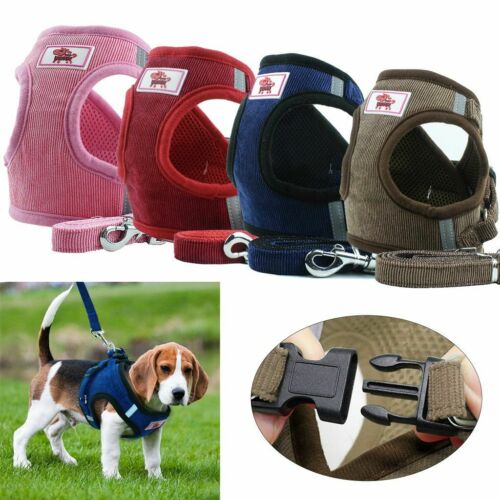 Breathable  Small Dog Cat Pet Mesh Harness Vest Collar Chest Strap Leash Xs-xl