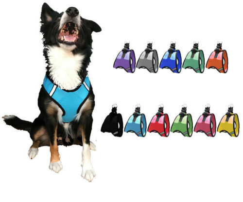 Nylon Mesh Easy Step-in Quick-release Padded Soft Puppy Pet Dog Harness