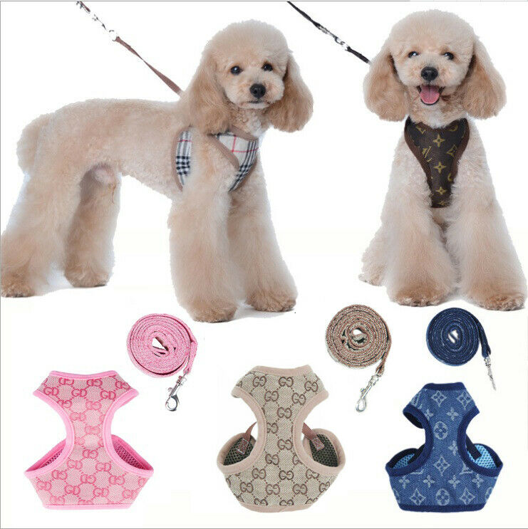 Soft Breathable Pet Dog Vest Harness Leather Harnesses Set For Puppy Rabbit Cat