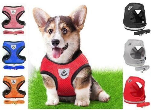Mesh Padded Soft Puppy Pet Dog Harness Breathable Comfortable Many Colors S M L