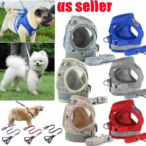 Pet Small Dog Puppy Harness And Leash Set Breathable Mesh Vest Chest Strap Xs-xl