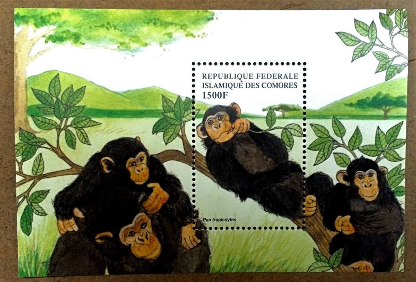 Vintage Classics - Comoros 1998 - Chimpanzees - Souvenir Sheet - Mnh