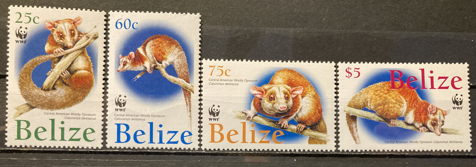 Belize,wooly Opossum S.c.#1177-80  Wwf S.c.v.$11 Issued In 2004